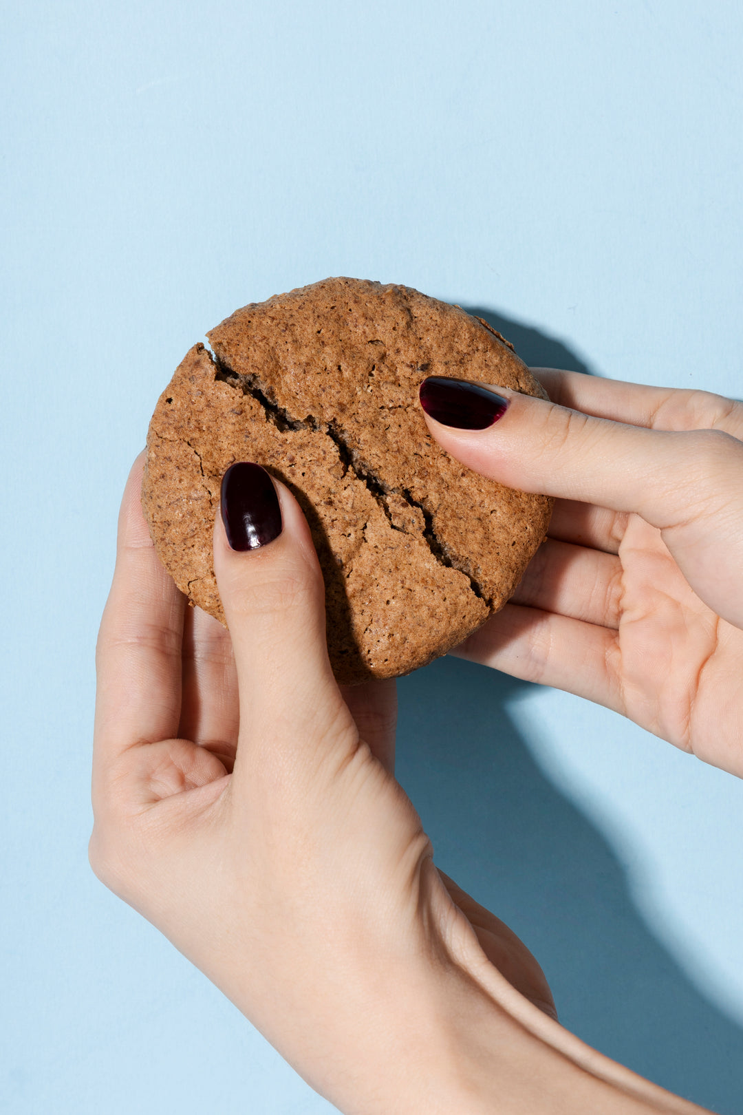 Tortino di Nocciole Tastëlanghe (Box 10 pezzi) - Tastëlanghe Azienda Agricola