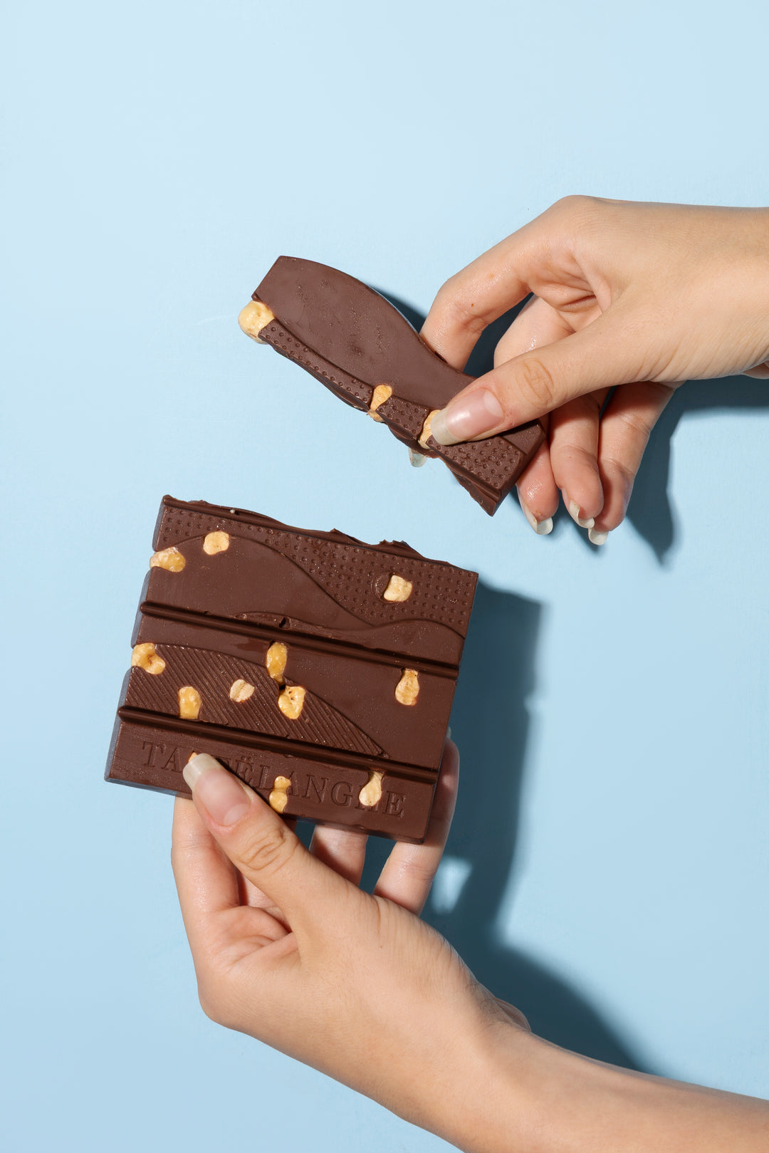 4 Tavolette di Cioccolato con Nocciola Piemonte IGP Intera | Gusti a scelta - Tastëlanghe Azienda Agricola