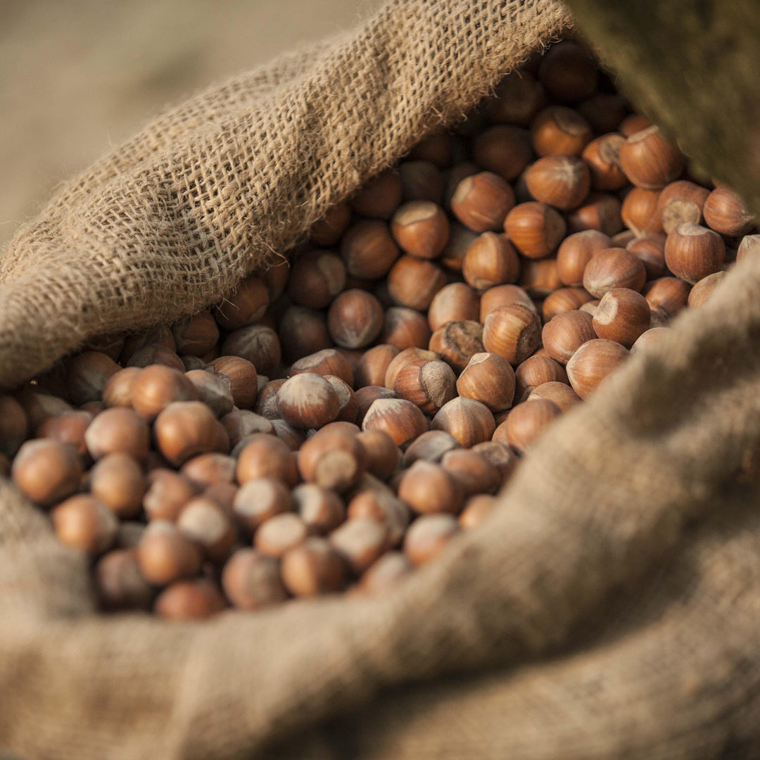 Nocciola Piemonte IGP "Langhe" in Guscio Naturali (2Kg) - Tastëlanghe Azienda Agricola