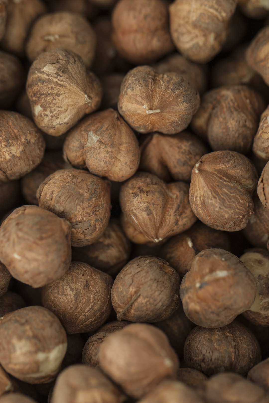 Primo piano delle nocciole Piemonte IGP naturali sgusciate Tastëlanghe con pellicina bruna.