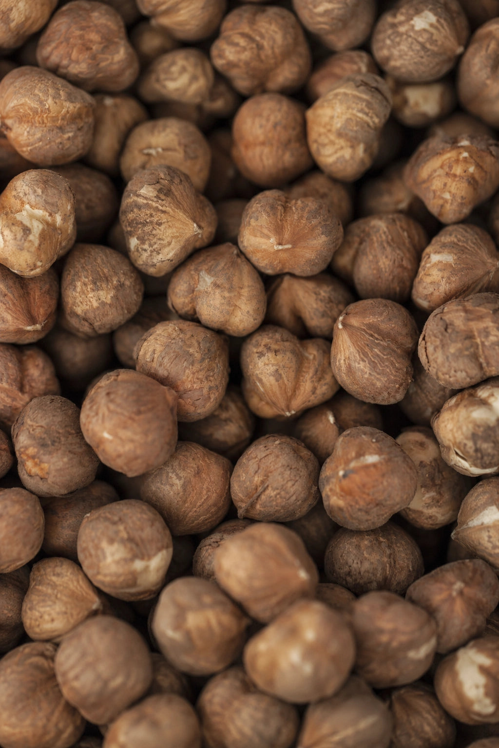 Primo piano delle nocciole naturali sgusciate Tastëlanghe con pellicina bruna.